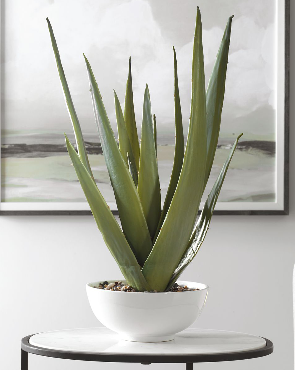 Evarado Aloe Planter