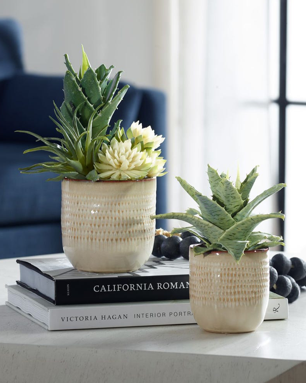 Seaside Succulents