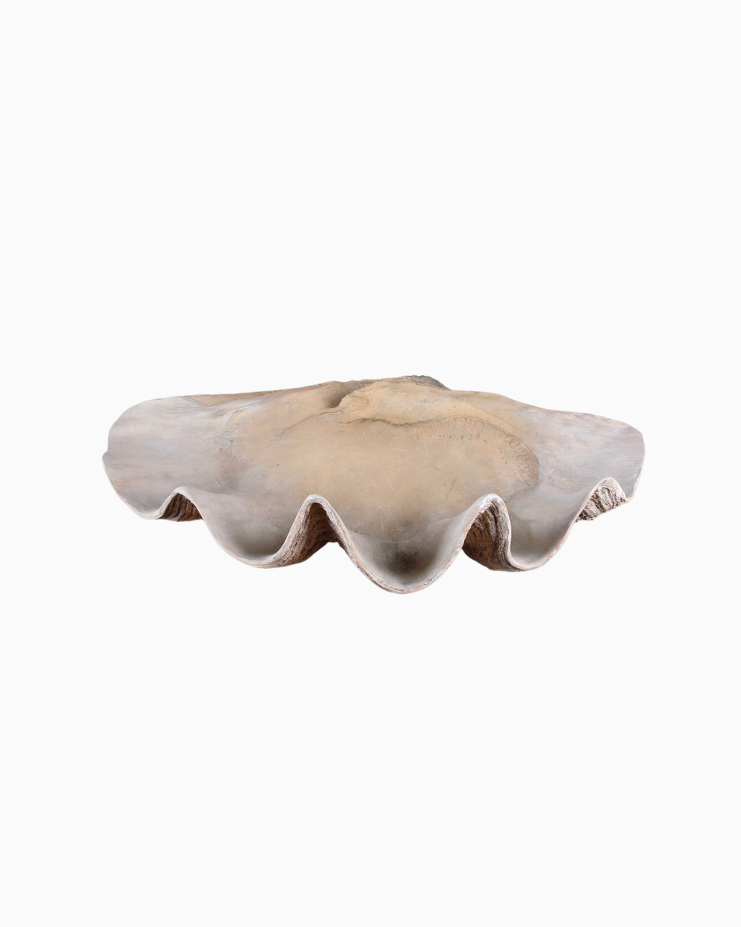 Clam Shell Bowl