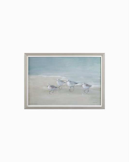 Tranquil Shorebirds on the Sand Framed Print