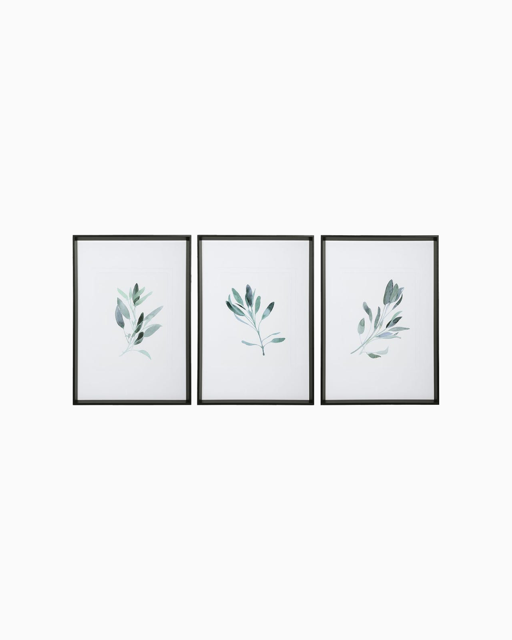 Simple Sage Framed Prints