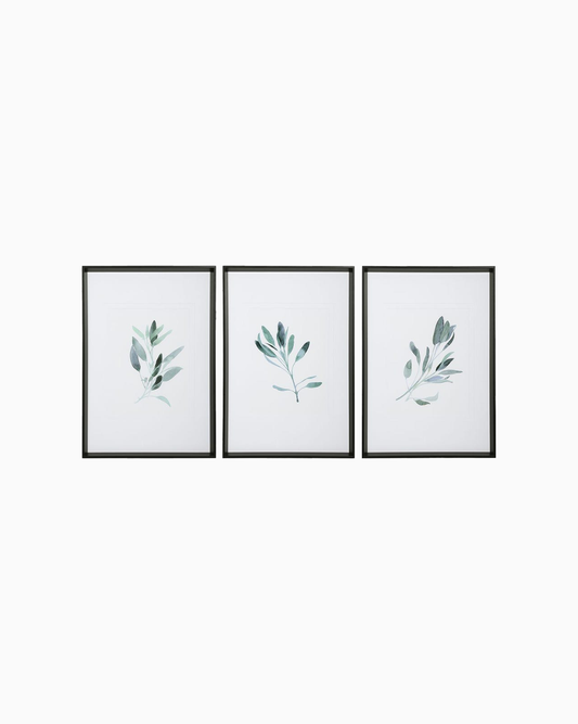 Simple Sage Framed Prints
