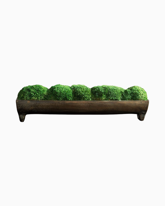 Canal Moss Centerpiece