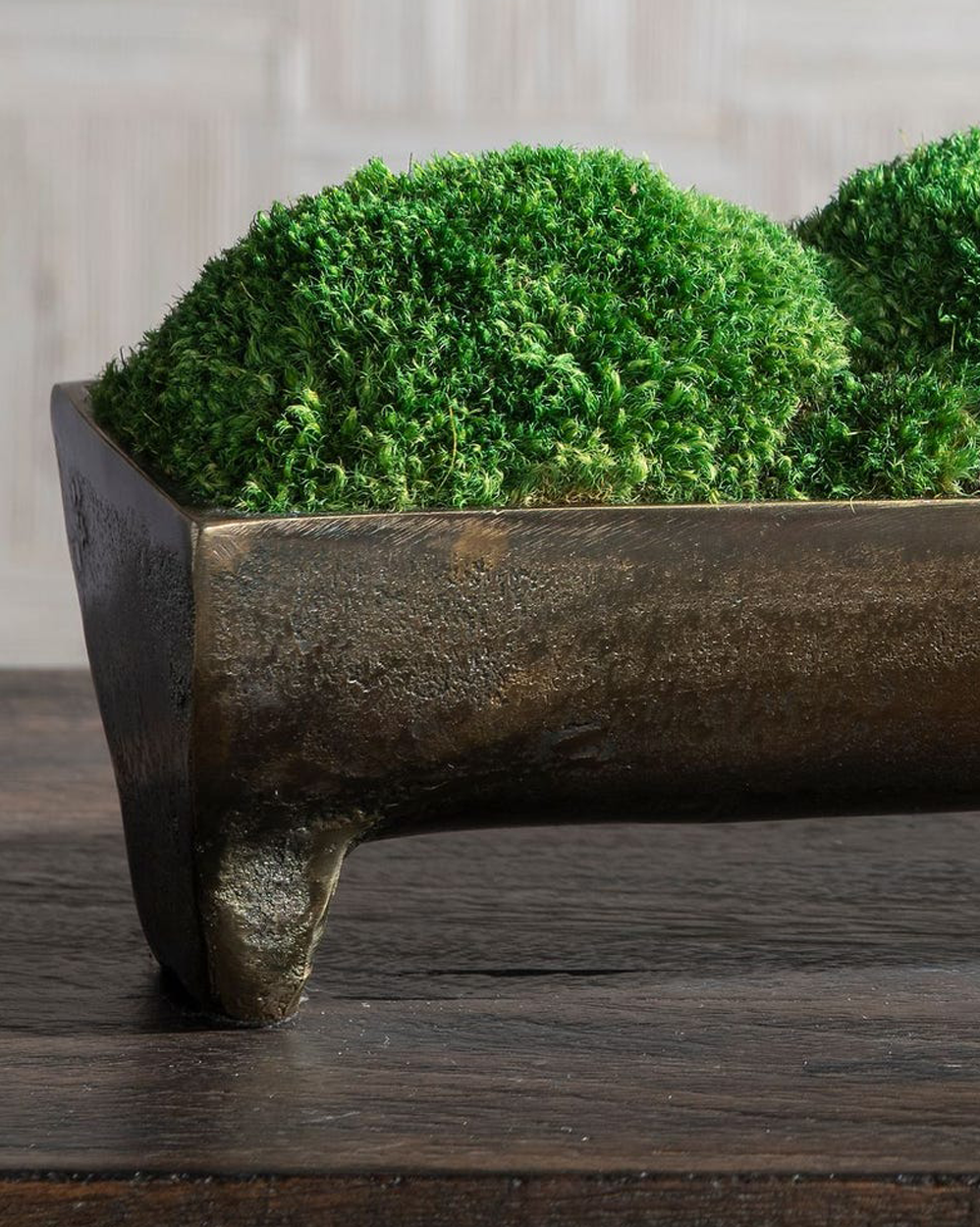Canal Moss Centerpiece
