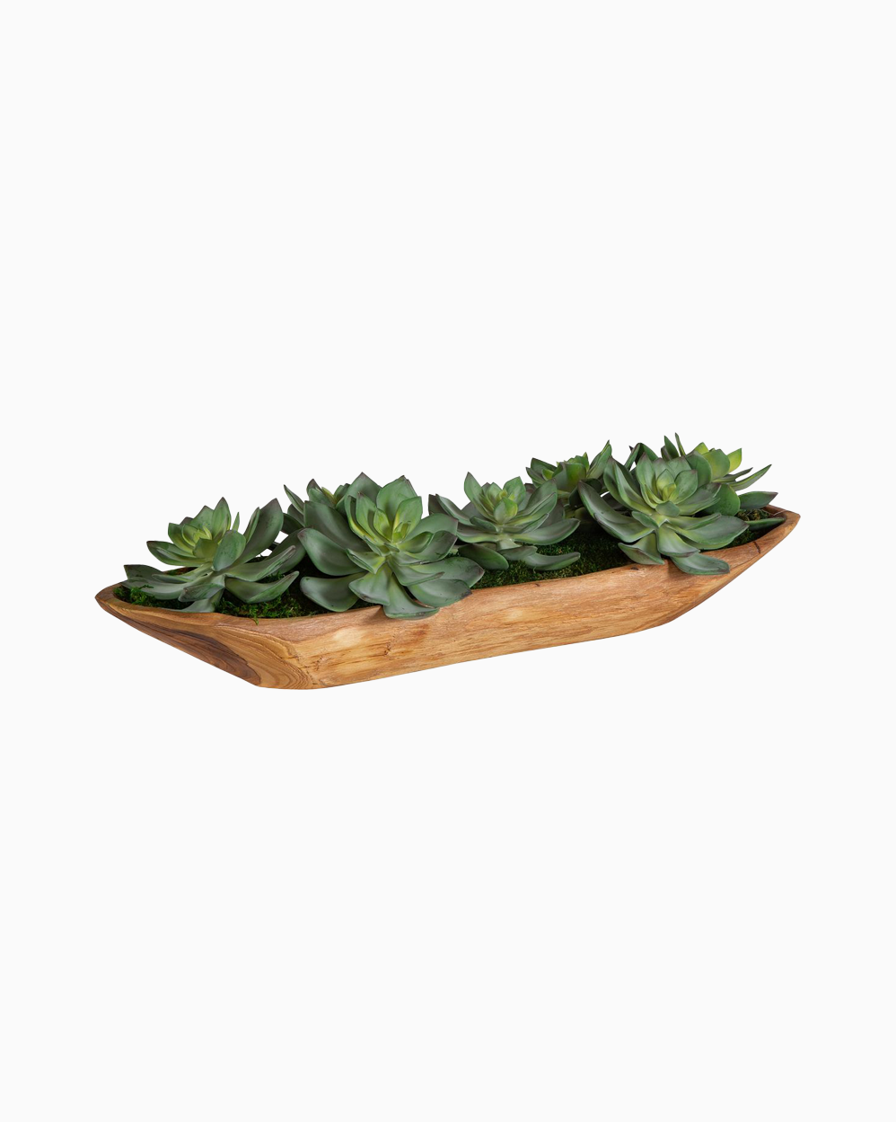 Yuma Succulent Centerpiece