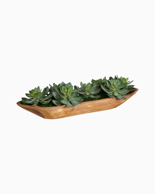 Yuma Succulent Centerpiece