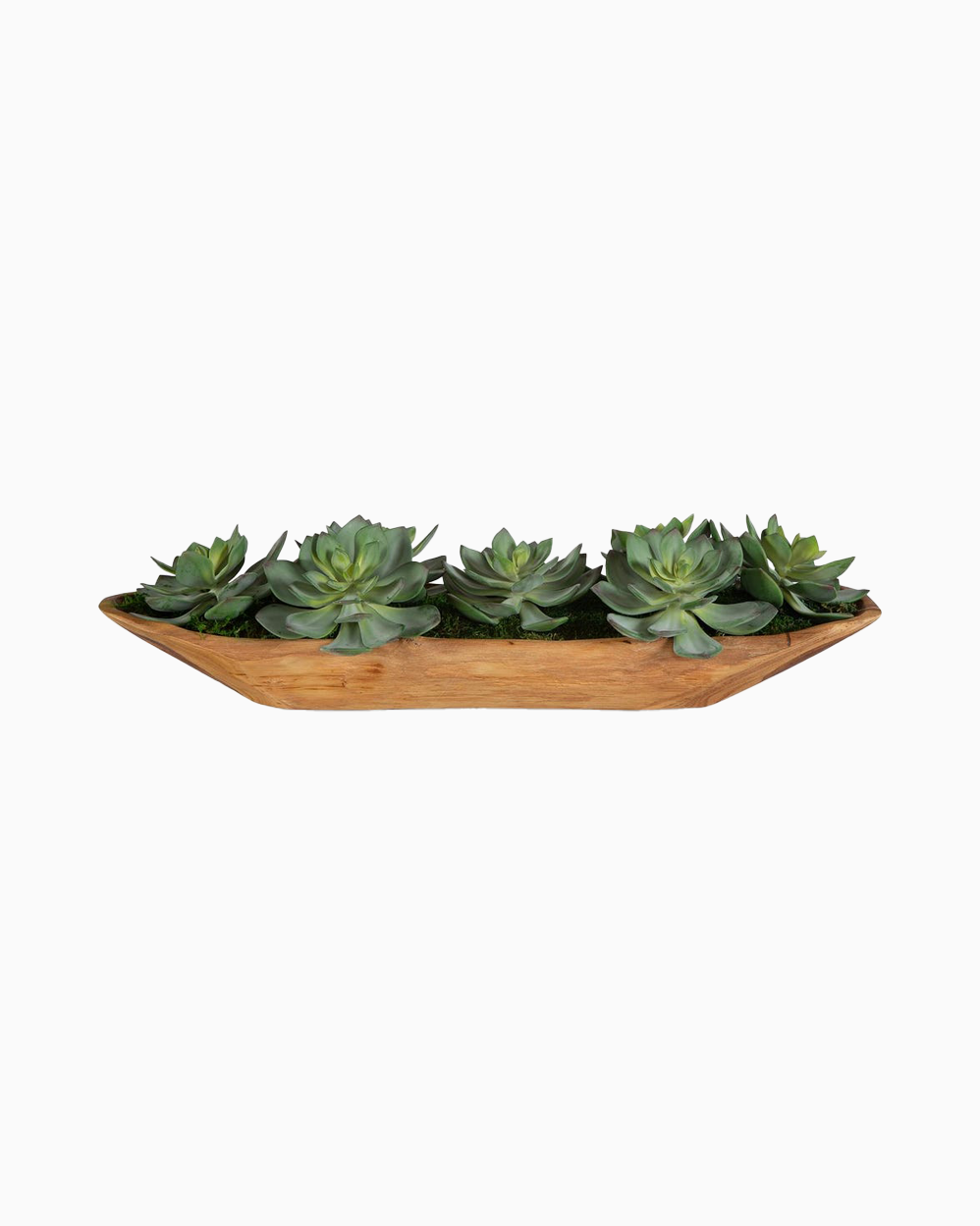 Yuma Succulent Centerpiece