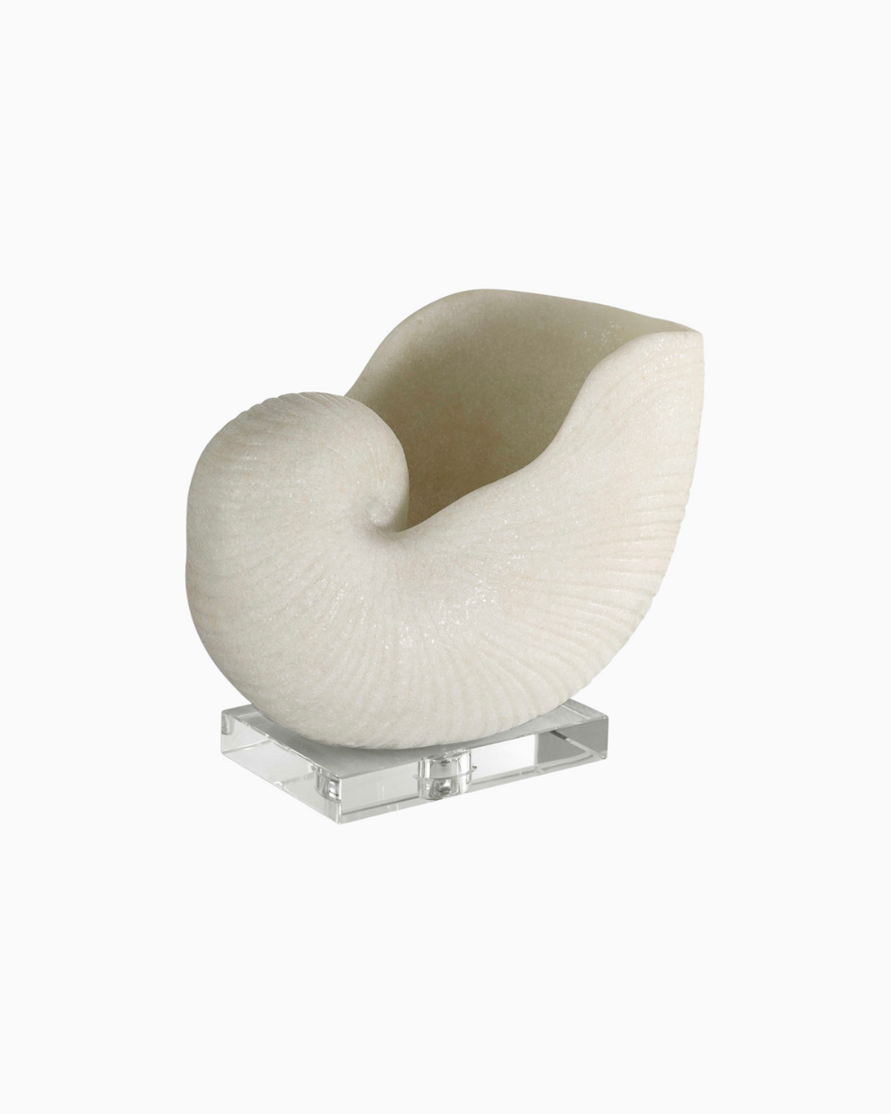 Nautilus Shell Sculpture – Norris Furniture